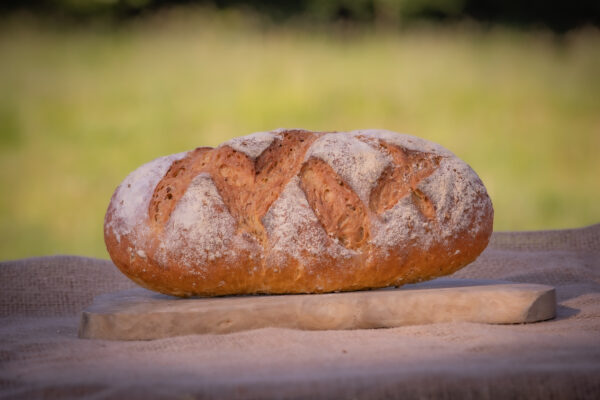 Malted Grain Bloomer (800g)