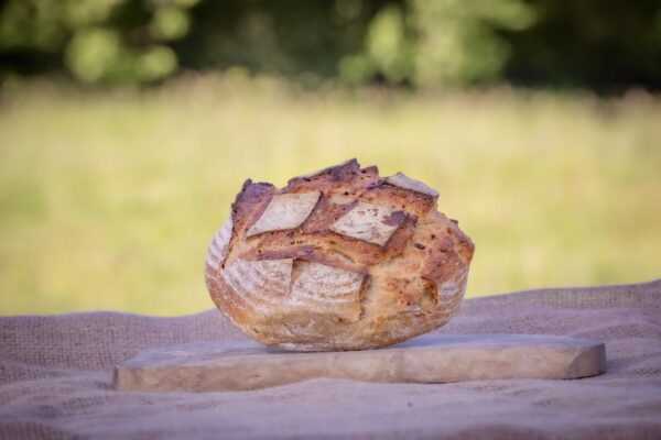 Malted Grain Sourdough Boule (700g)