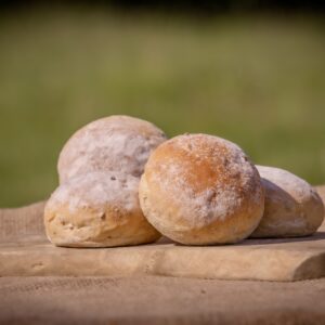 Lightly Malted Bun